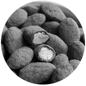 Chocolate-Coated-Nuts-2