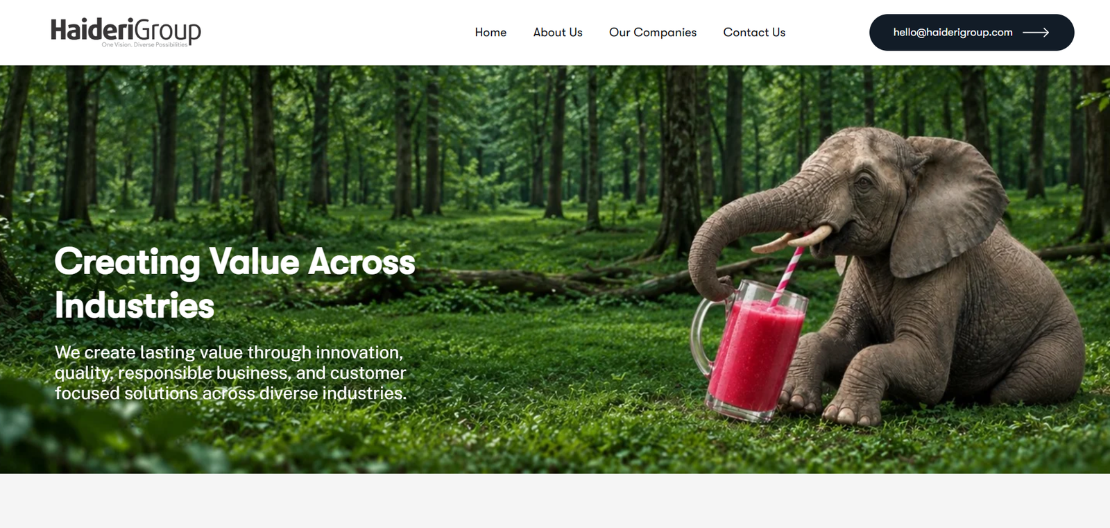 Hadier Group - Marketing Agency